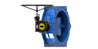 Valve à papillon à doubles flancs excentriques de type souple pour système d'eau usée
