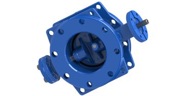Valve à papillon double excentrique