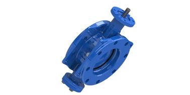 Valve à papillon à doubles flancs excentriques de type souple pour système d'eau usée