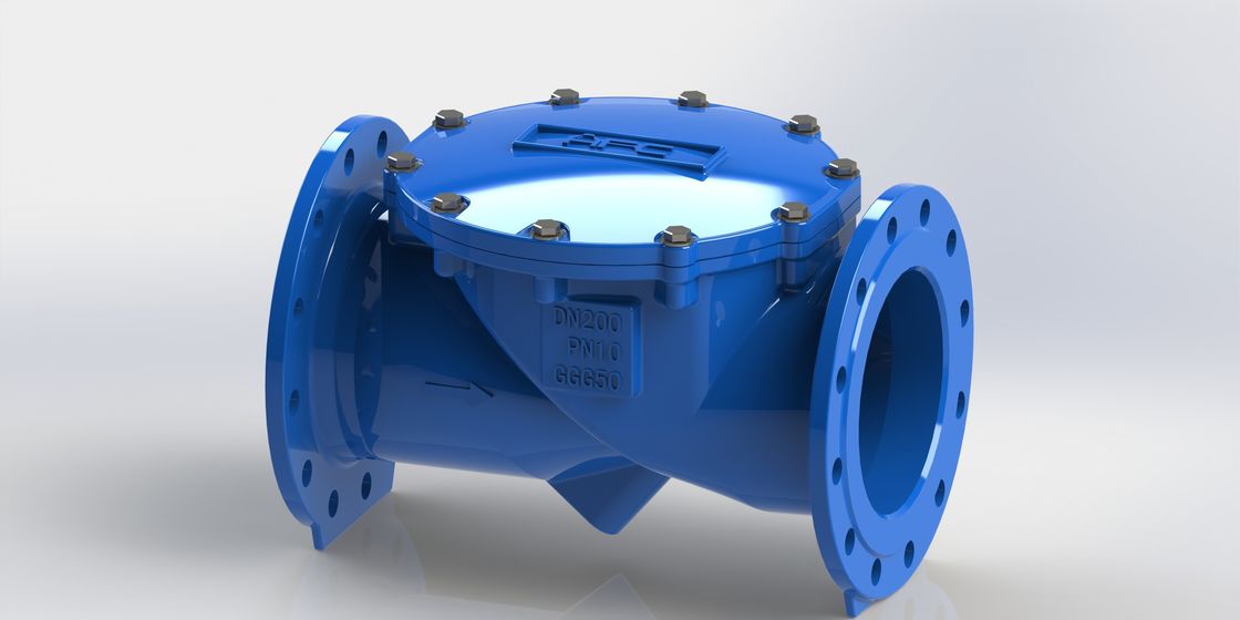 Clapet anti-retour à battant flexible DN50-700 avec raccordement à bride PN10 et joint EPDM pour systèmes de fluides industriels